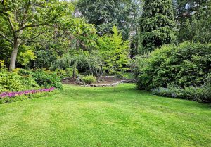 Optimiser l'expérience du jardin à Sains-les-Pernes